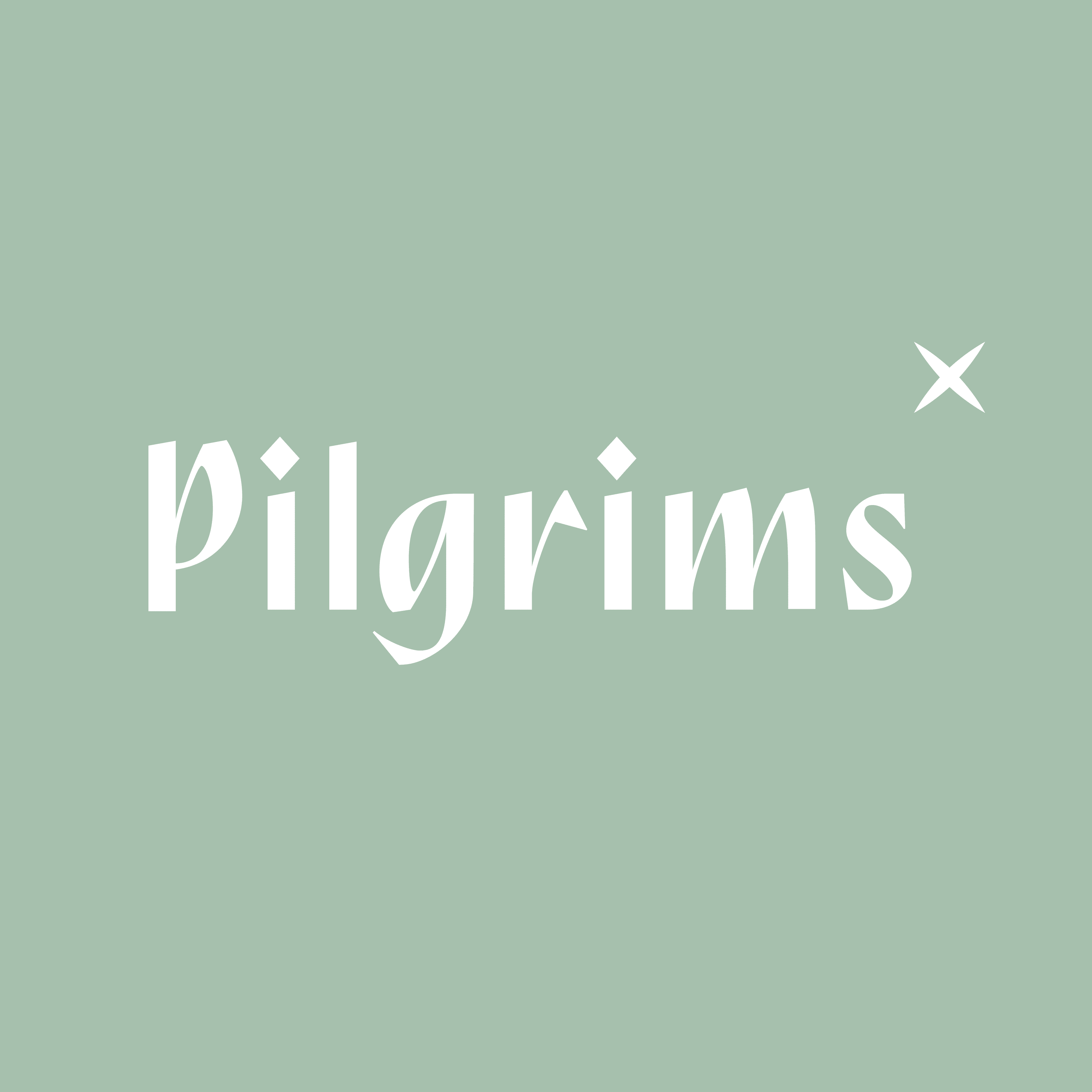 HEALTH PILGRIMS